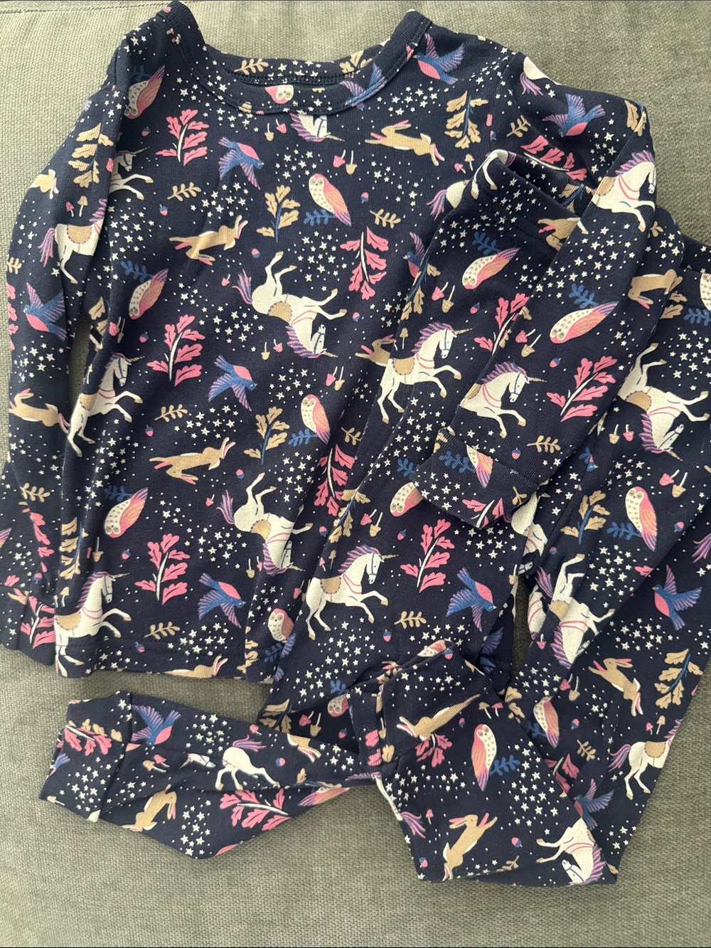 GAP Navy Unicorn & Birds Long Sleeve Pant Pajama Set